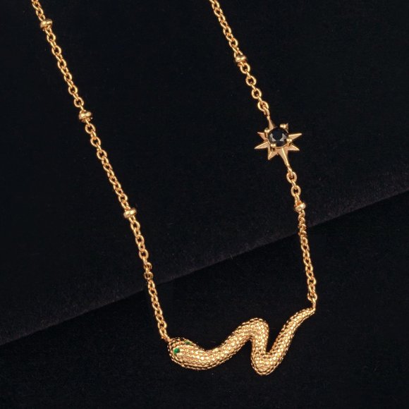 Snake Necklace, Reputation Taylor Swift Eras inspired look - Picture 1 of 4